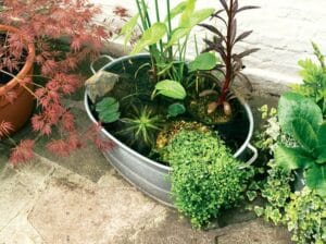 Creating A pond in a hub