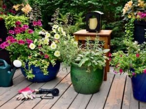 Colorful flowers in pot as a kid gardening project